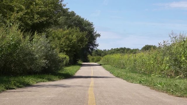 Forest preserve empty path / trail with moving nature for 30 seconds