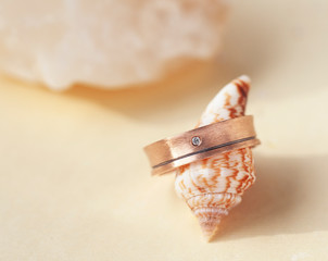 beautiful macro shot of golden wedding ring with sea shell and little flowers on colored background