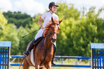 Young female horse rider on equestrian sport event