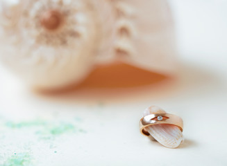beautiful macro shot of golden wedding ring with sea shell and little flowers on colored background