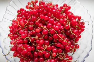 Fresh ripe red currant on light background, top view