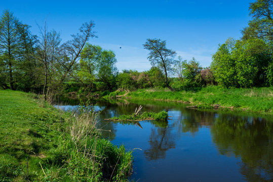 Rzeka Wkra wiosna