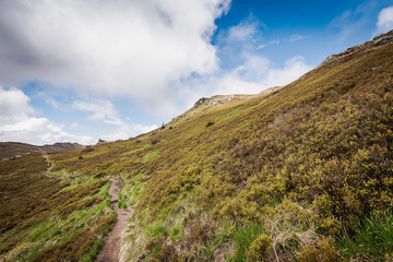 Europe, Poland, Podkarpackie Voivodeship, Bieszczady, Bieszczady National Park. Cloudy wheather, early spring.