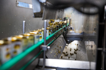 olives factory equipment industrial