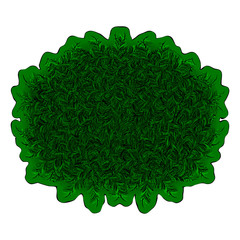 Green poster with coniferous texture for the design of a banner or postcard or poster. Isolated .