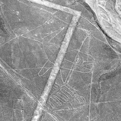 The whale, Nazca mysterious lines and geoglyphs
