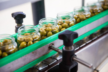 olives factory industrial equipment 