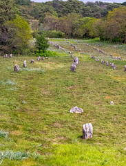 Alignements de Carnac - Carnac stones in Carnac, France