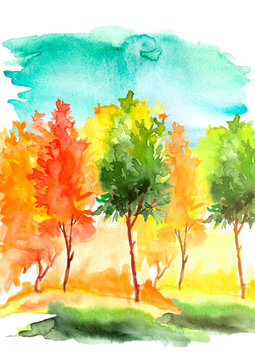 Watercolor autumn trees of yellow, red, orange color. Autumn forest,hill, blue sky. Watercolor art background.Beautiful splash of paint. Abstract creative background.