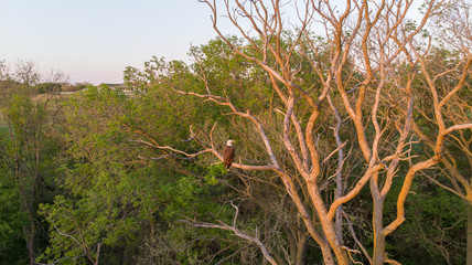 Nebraska rural countryside landscape 