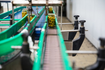 olives factory procedures