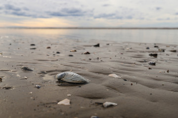 White sea. Severodvinsk. The Island Of Yagry. Autumn day by the sea