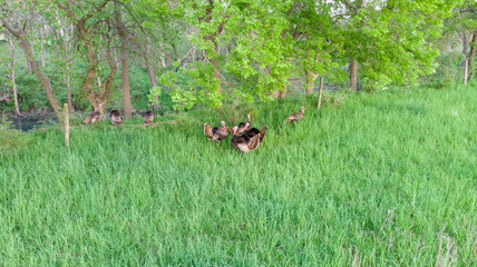 Nebraska rural countryside landscape 