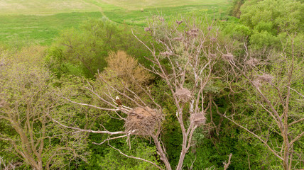 Nebraska rural countryside landscape 
