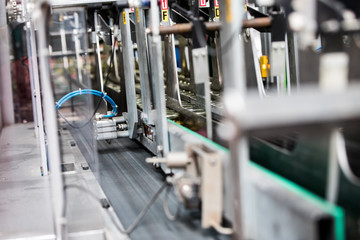 olives factory machinery