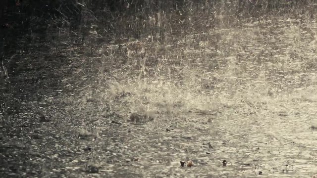 4k video Heavy rain drops falling or poring on pavement or cement