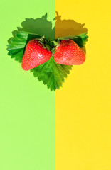 Two strawberries lie on a green strawberry leaf