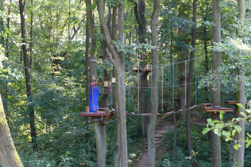 rope center in forest