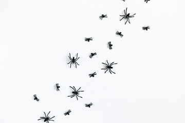 Halloween decorations concept. Halloween with spiders on white background. Flat lay, top view, copy space