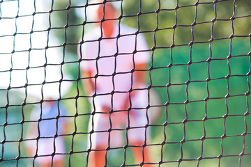 Photo of tennis net at court