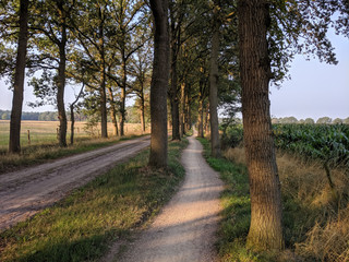 Bicycle path around Haarle