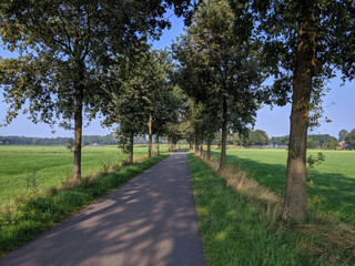 Road around Linde