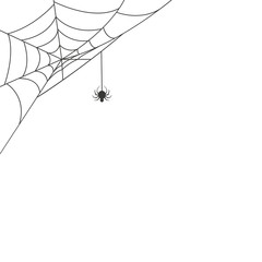 Spider web in the corner with a hanging spider