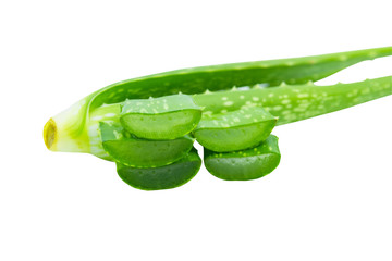Green fresh Aloe vera sliced fresh aloe for herbal medical plant and beauty spa on white texture isolated for background.