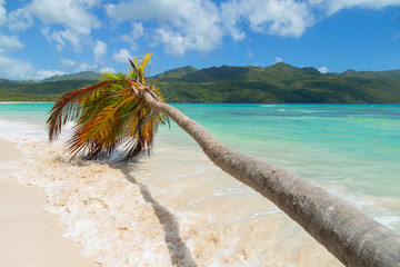 Tropical paradise beach without people. Incredible landscape of a tropical island.