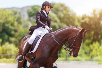 Young female horse rider on equestrian sport event