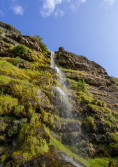 Fototapeta na wymiar Small waterfall in Thorsteins Grove Iceland