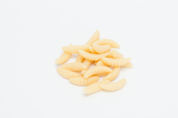 Artificial fishing larvae of insects on white background with soft shadow