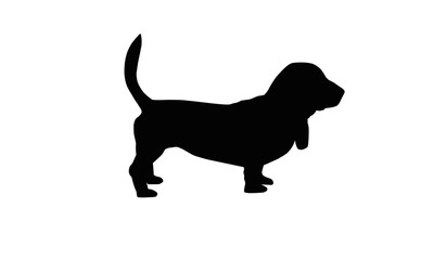 Basset Silhouette