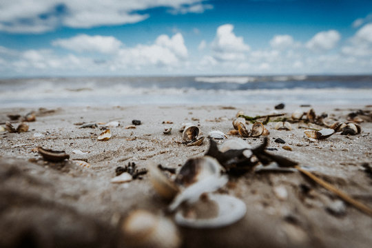 Nordsee, Dangast, Jadebusen, Niedersachsen, Sand, Strand, Muscheln, Wasser, Steg, Friesland, Wolken, Himmel, Horizont, D&uuml;nen