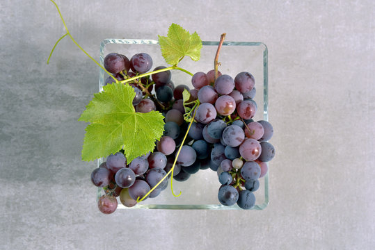 winogrona, winorośl, wino, wytrawne, słodkie wino, liść winogrona, zielony, fioletowy, gronowy, owoc, wina, jedzenie, kiść winogron, zieleń, winnica, dojrzałe, świeże, roślina pnąca, zdrowa żywność, j