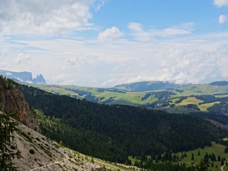 Fototapeta na wymiar The Seiser Alm / Alpe di Siusi, between the Dolomites, the Woods and the nature of Trentino, near the village of Ortisei, Italy - August 2019.