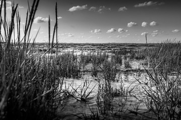 Nordsee, Dangast, Jadebusen, Niedersachsen, Sand, Strand, Muscheln, Wasser, Steg, Friesland, Wolken, Himmel, Horizont, Dünen
