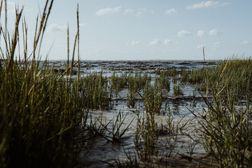 Nordsee, Dangast, Jadebusen, Niedersachsen, Sand, Strand, Muscheln, Wasser, Steg, Friesland, Wolken, Himmel, Horizont, Dünen