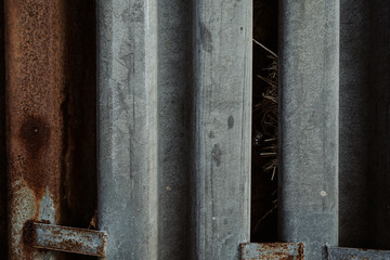 Nordsee, Dangast, Jadebusen, Niedersachsen, Sand, Strand, Muscheln, Wasser, Steg, Friesland, Wolken, Himmel, Horizont, Dünen