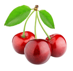 three sweet cherry berries isolated on white background