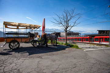 Landscape, Rigi Kaltbad, Switzerland