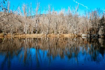 Reflections of autumn forest on lake in the fall season