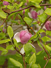 rixheim france europe