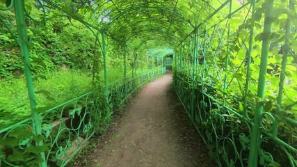 Green path in beautiful garden motion footage