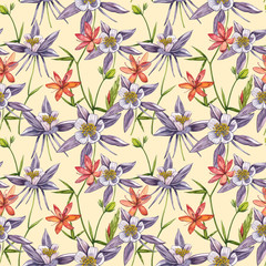 Double Columbine flowers. Seamless pattern. Collection of hand drawn flowers and plants. Watercolor set of flowers and leaves, hand drawn floral illustration isolated on a white background. Botanical