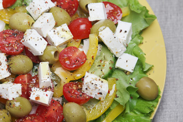 Traditional Greek salad on the plate