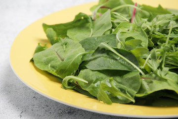 A plate with green salad