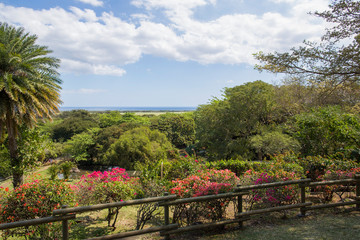 Fototapeta na wymiar summer landscape african savannah in Mauritius