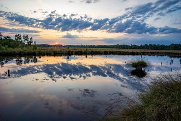Sonnenuntergang im Pietzmoor