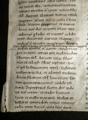C12th MSS manuscript leaves of the Book of Numbers in Latin handwritten on vellum twelfth century